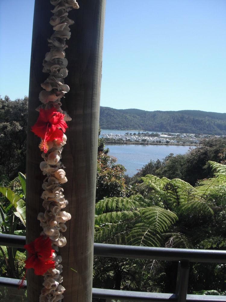 Whangamata Vistas B&B Exterior foto